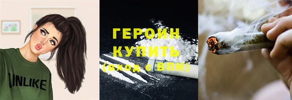 прущие грибы Ростов