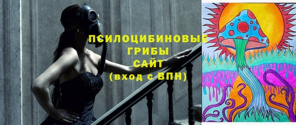 прущие грибы Ростов