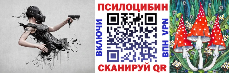 Псилоцибиновые грибы GOLDEN TEACHER  купить наркоту  Нефтекумск 