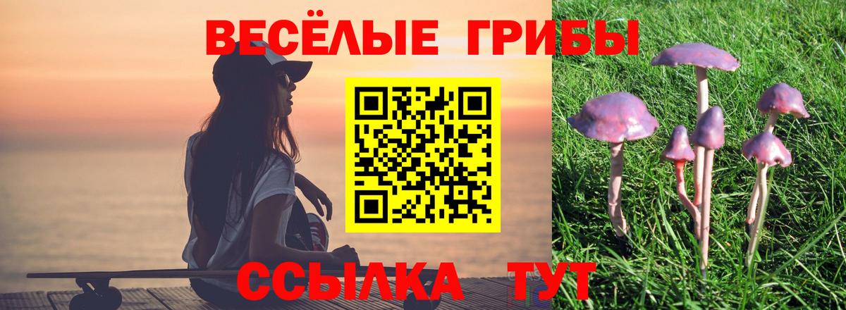 Псилоцибиновые грибы Magic Shrooms  купить наркотик  Нефтекумск  Вход с VPN  Псилоцибиновые грибы мухоморы 